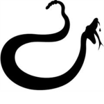 Black Snake