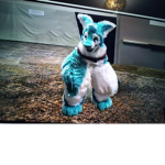 Join for roux(robux)