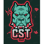 C.S.T Group