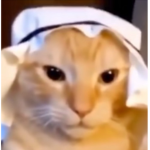 [ Content Deleted 4235140 ]