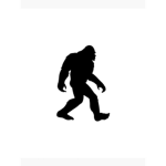 Squatch Studios