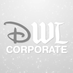 Disney Wonderland Corporate
