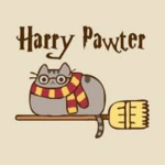 Wizards and witches!
