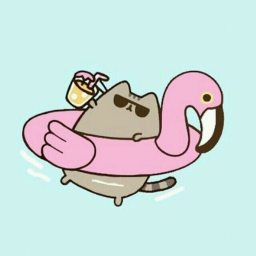 🦩