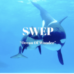 SeaWorld Entertainment Parks