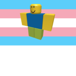 The_N00BS