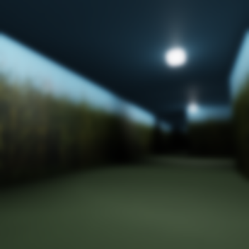 T H E   C O R N F I E L D