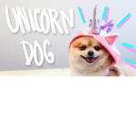 THE UNICORNPUPPY