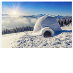 The club of cold