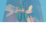 SonicRacers