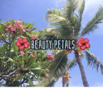 B e a u t yP e t a l