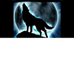 Nature wolf