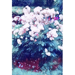 falling flower<3