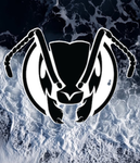 ANT COLONY GAMES