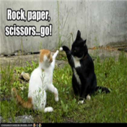 funny cat pic 29 Roblox decal