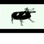 Fan de Aleron79