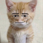 El_Gato Mafia