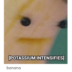 The YT Banana Bunch
