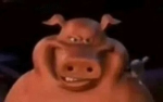 The BarnYard Boys