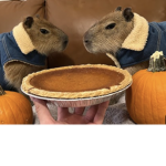 Fans of capybara