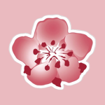 CA | China Airlines RBLX