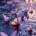 periwinkle wardrobe