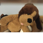 Stuff animals,