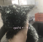 zys!