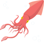 The Kuddly Kraken