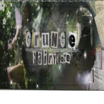 Fa1ryc0re<33