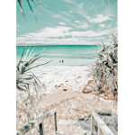 ⋒ Tropical aloha ⋒