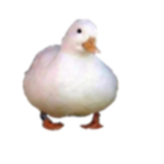 pc master group