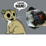 Cats of undead