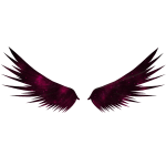 Pinkblack Wings