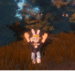 The Bunnies Fan Group :)