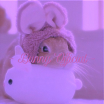 - bunny official -