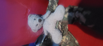 Beary Productions