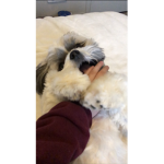 Friendo12345678