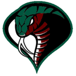 Cobras Ro-Hockey