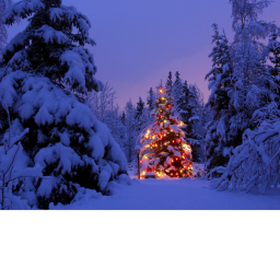 CHRISTMAS DAY