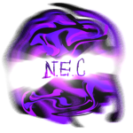 Nevada's End Coalition