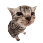 IiIy