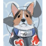 Akatsuki doggy team