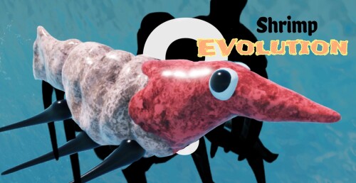 Évolution des crevettes