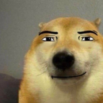 The doge boys