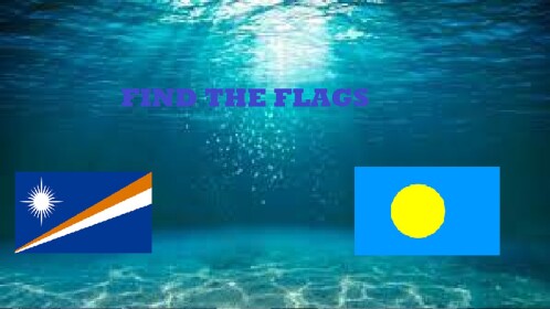 find the flags (166)
