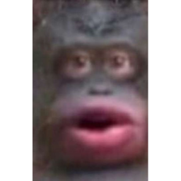 super coll nick crestoy boi