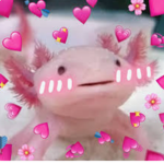 Axolotls squad <3