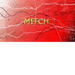 Mitch's Fan Group