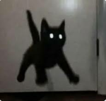 Code's Clothing meow